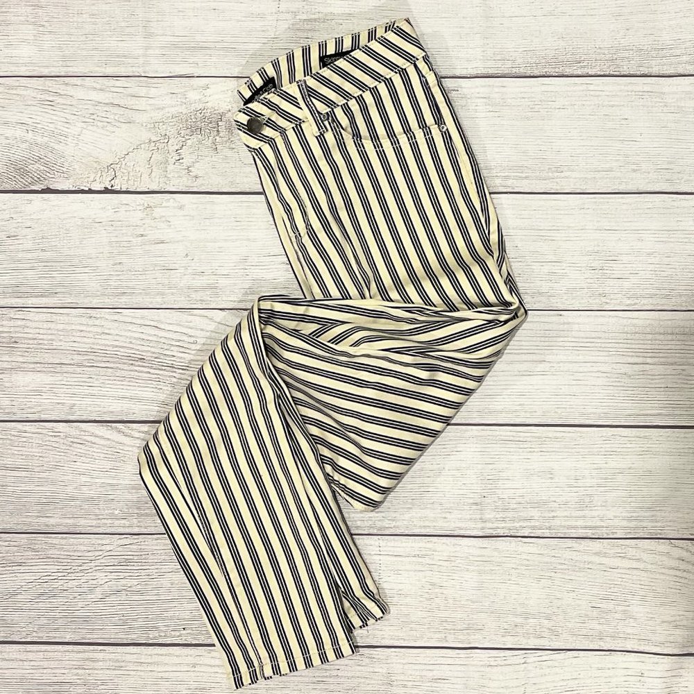Needle & Cloth Navy, Cream & Gray Striped Stretch Skinny Ankle Pants Size 6